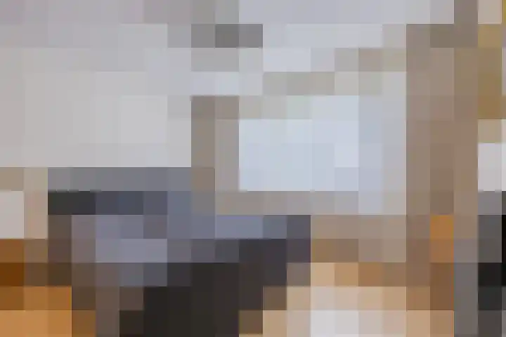 Guldengaarde 27 Cuijk thumbnail 9