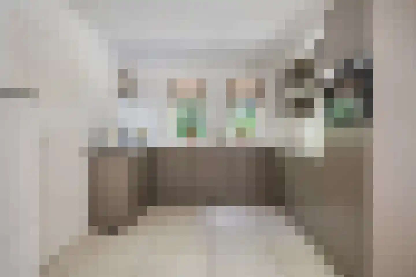 Guldenhof 4 Valkenswaard thumbnail 11