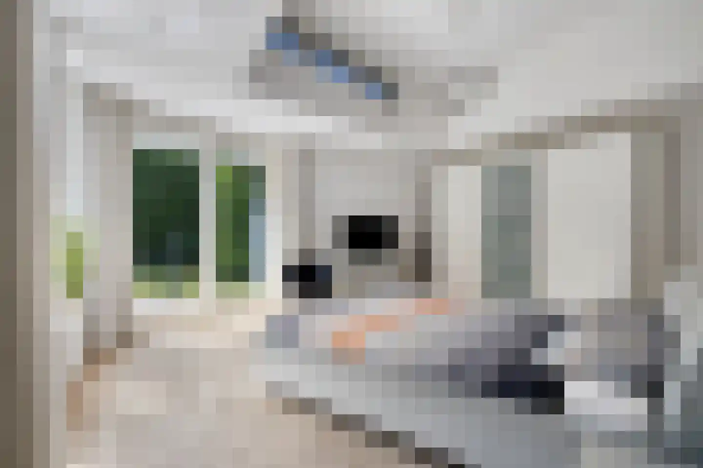 Guldenhof 4 Valkenswaard thumbnail 13