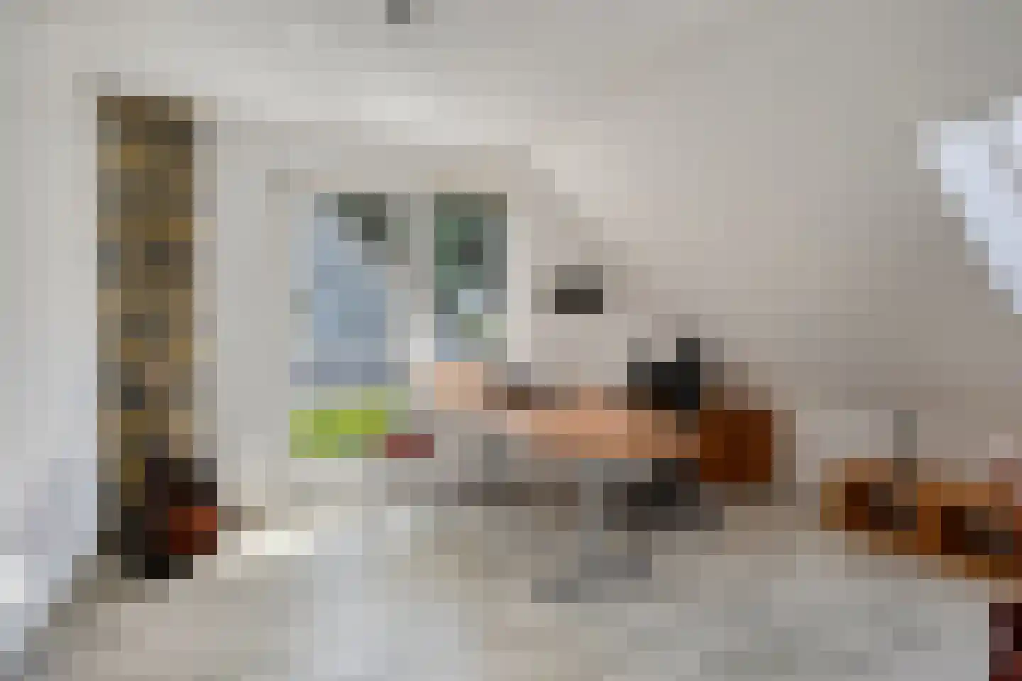 Guldenhof 4 Valkenswaard thumbnail 23