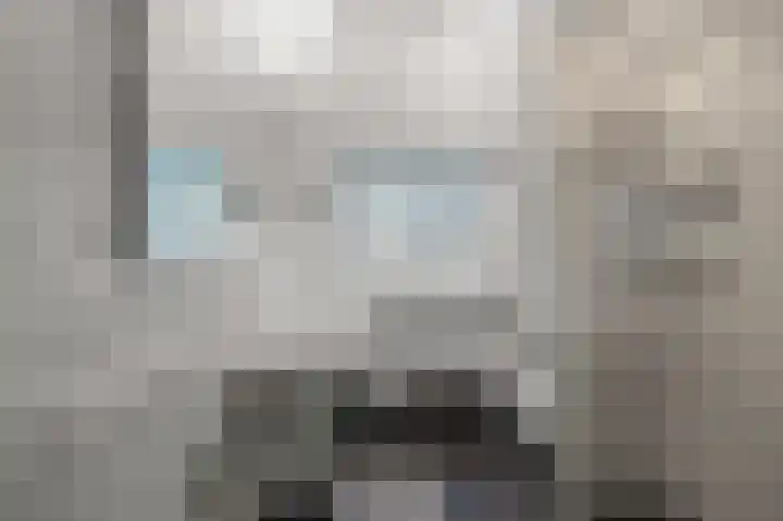 Guldenpad 17 Alkmaar thumbnail 19