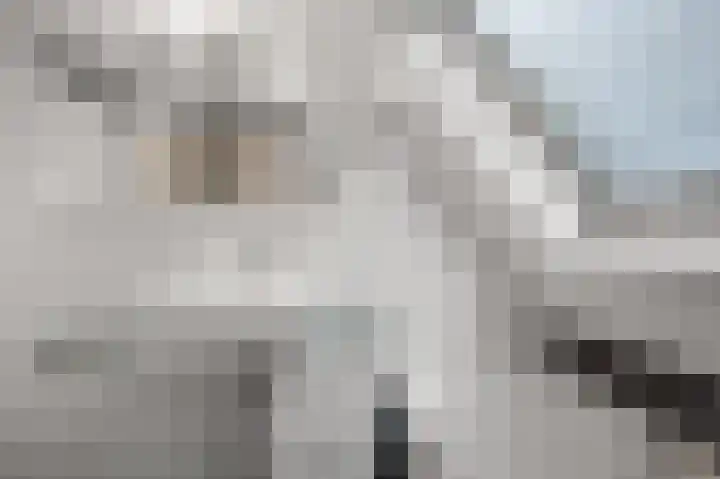 Guldenpad 17 Alkmaar thumbnail 20