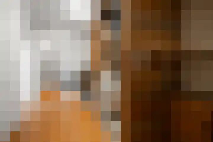 Guldenpad 17 Alkmaar thumbnail 23