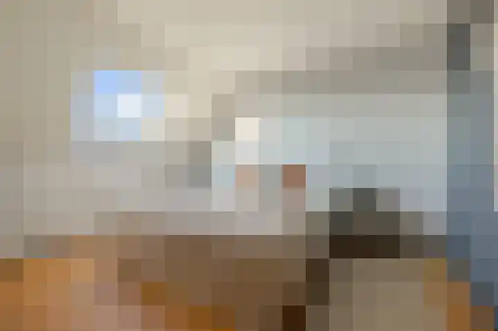 Guldenpad 17 Alkmaar thumbnail 25