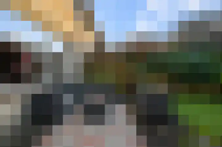 Guldenpad 17 Alkmaar thumbnail 28