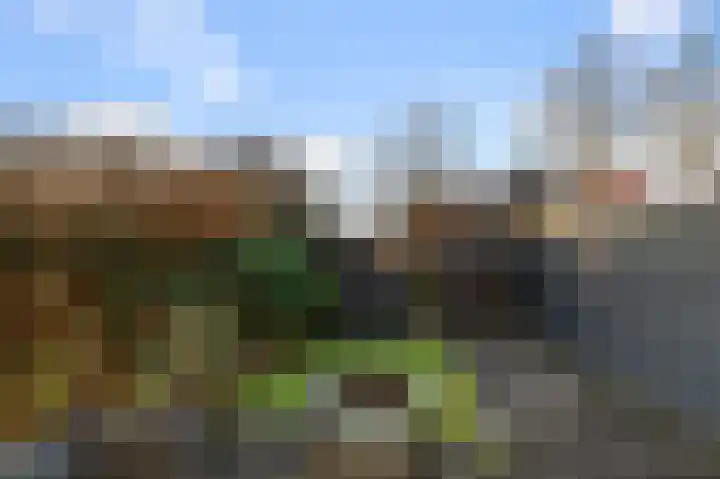 Guldenpad 17 Alkmaar thumbnail 29
