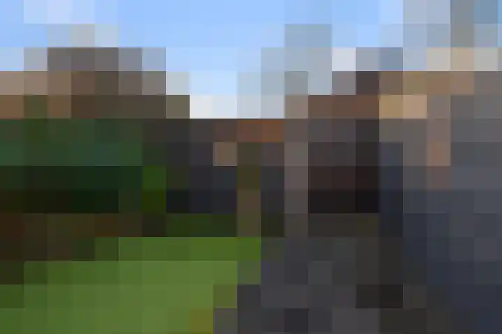 Guldenpad 17 Alkmaar thumbnail 30
