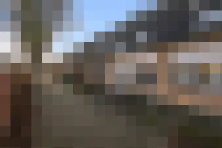 Guldenpad 17 Alkmaar thumbnail 35