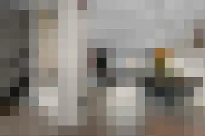 Guldenpad 17 Alkmaar thumbnail 9