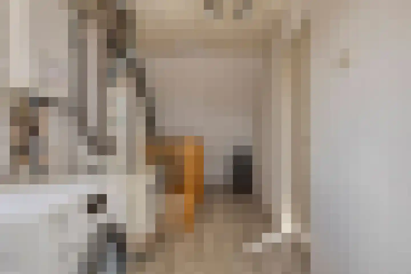 Guldenpad 22 Alkmaar thumbnail 24