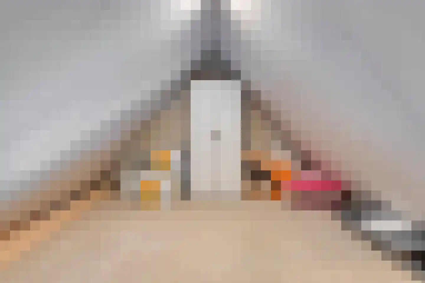 Guldenpad 22 Alkmaar thumbnail 27