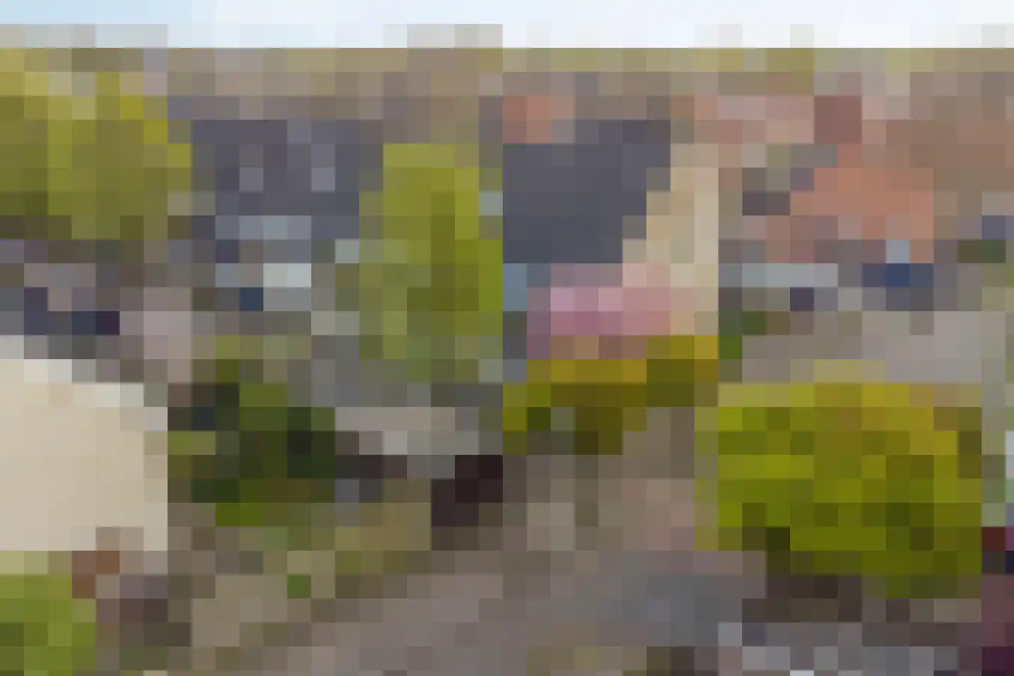 Guldenpad 22 Alkmaar thumbnail 28