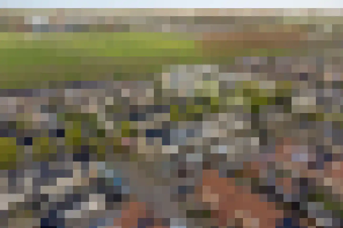 Guldenpad 22 Alkmaar thumbnail 35