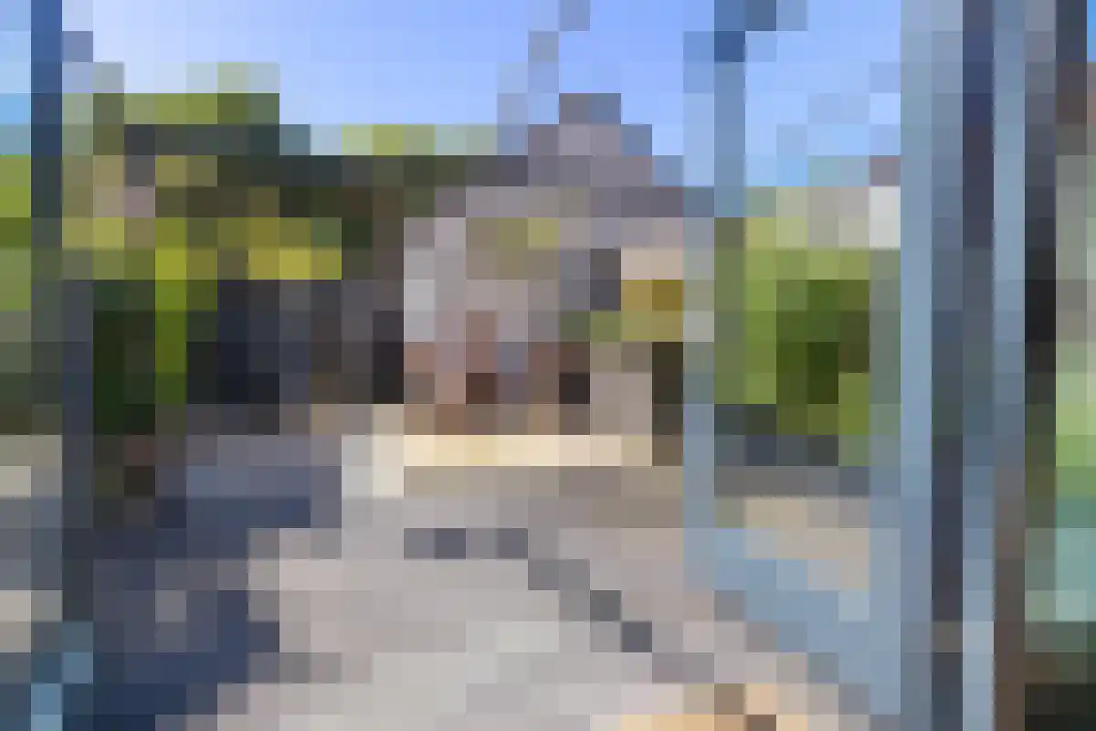 Guldenpad 5 Alkmaar thumbnail 10