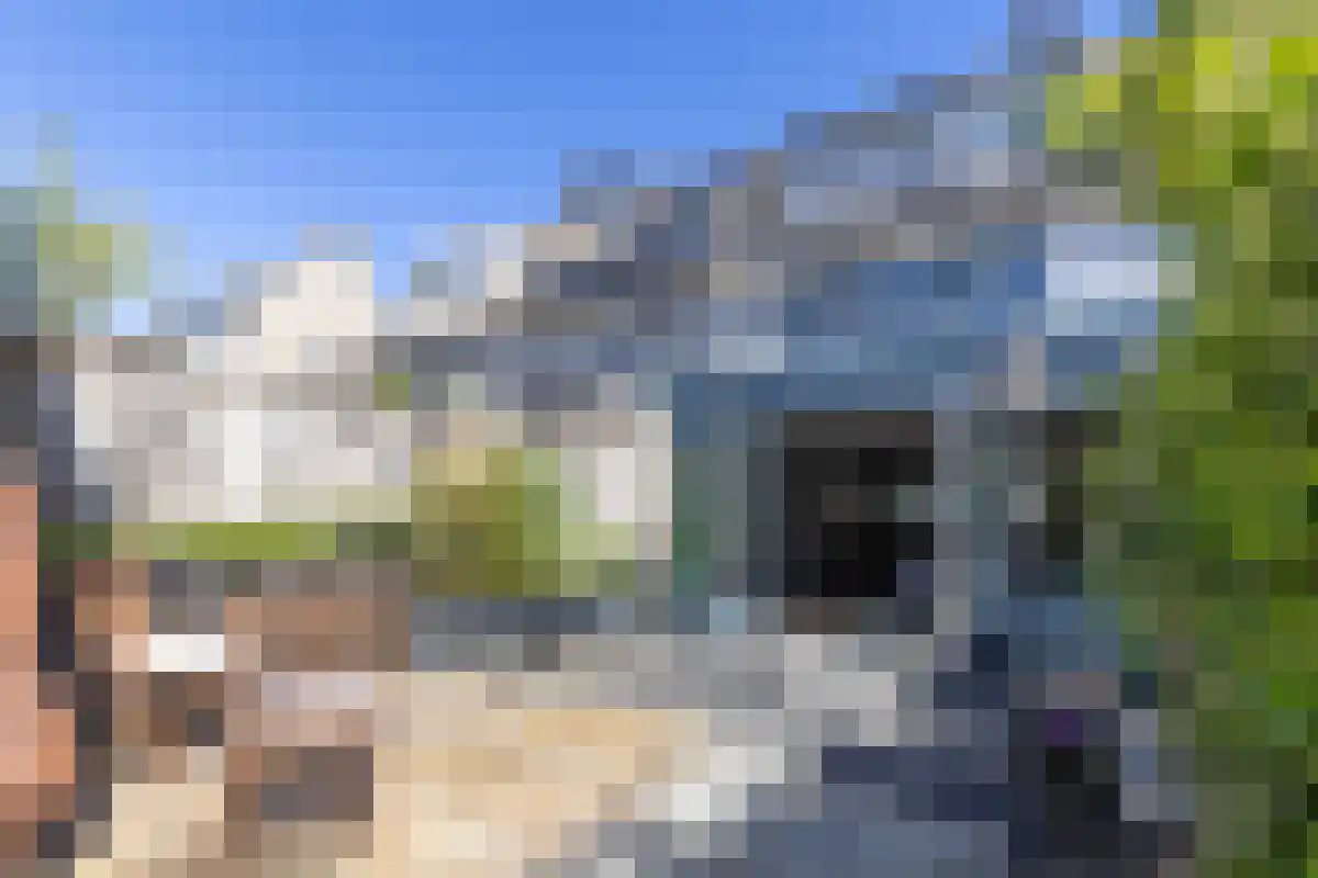 Guldenpad 5 Alkmaar thumbnail 11