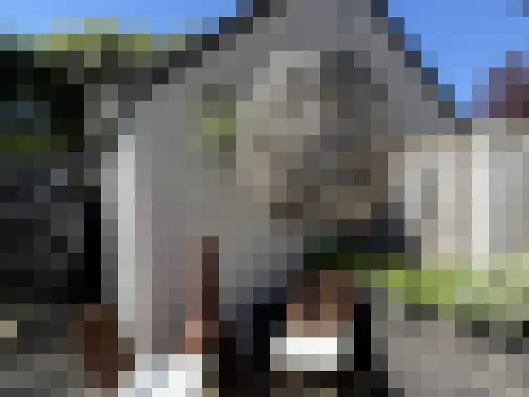 Guldenpad 5 Alkmaar thumbnail 15