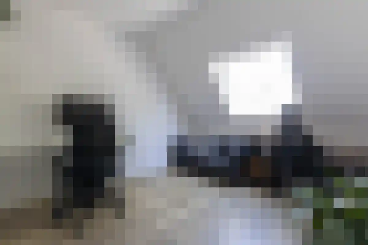 Guldenpad 5 Alkmaar thumbnail 21