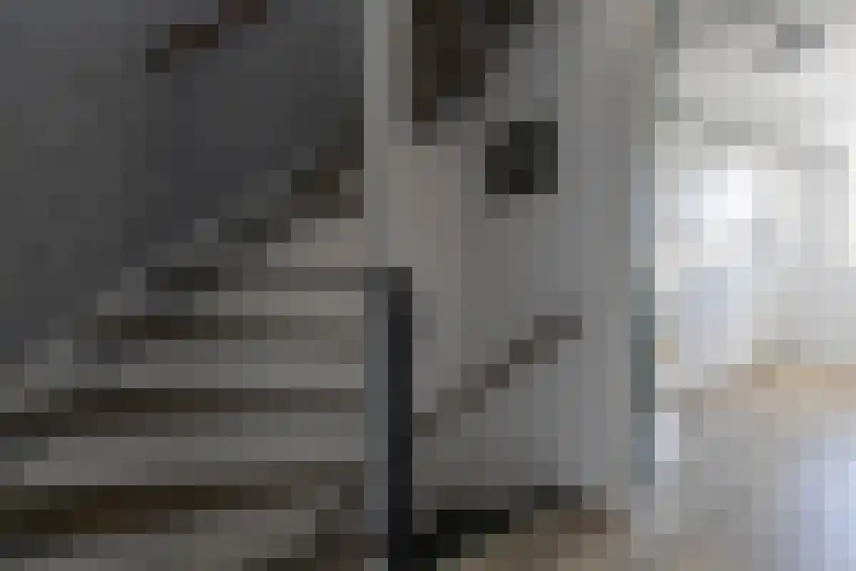 Guldenpad 5 Alkmaar thumbnail 24