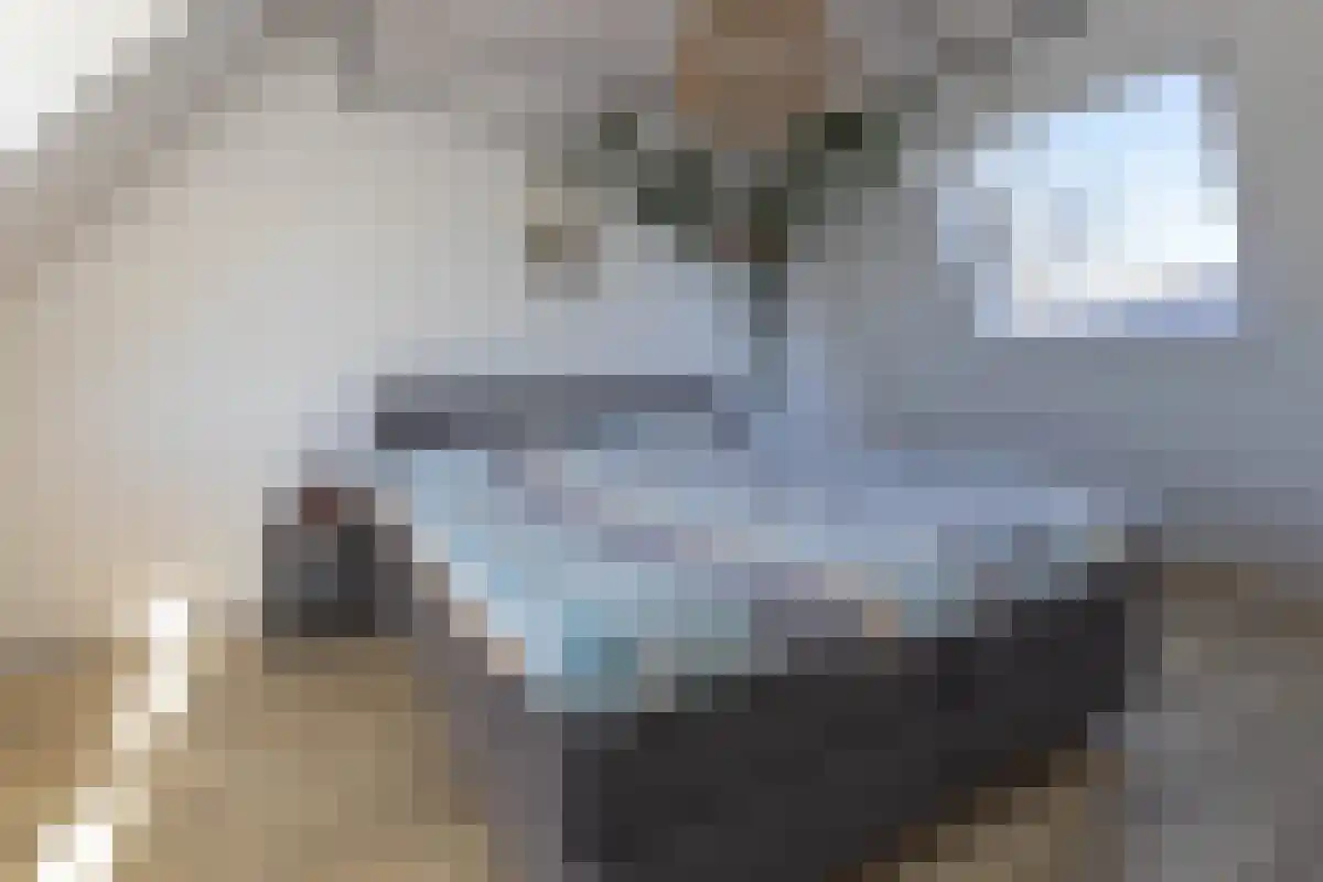 Guldenpad 5 Alkmaar thumbnail 26