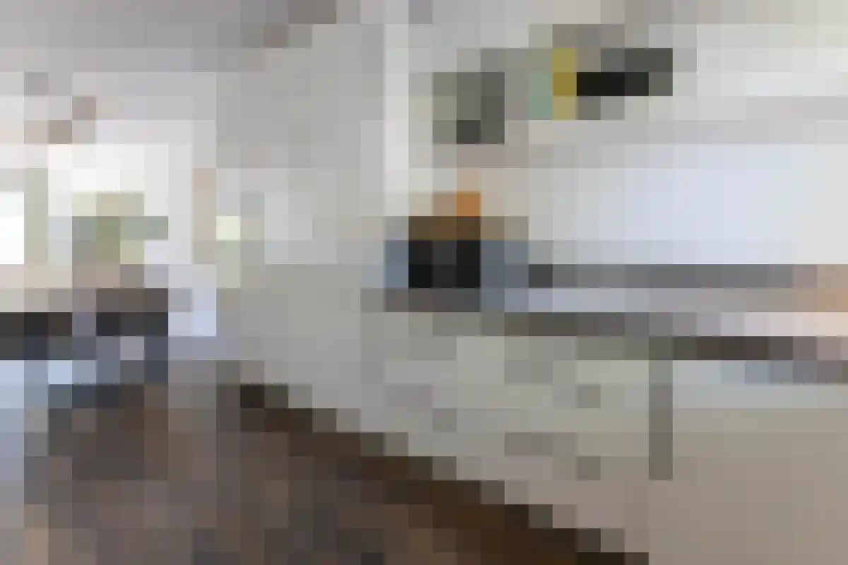 Guldenpad 5 Alkmaar thumbnail 4