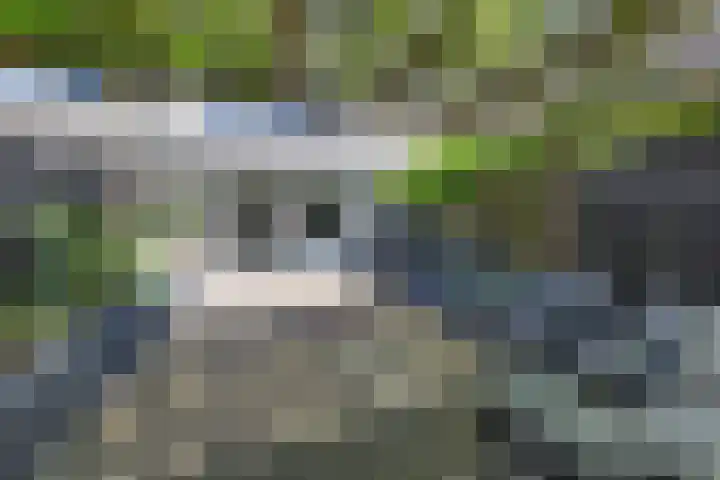 Guldenpad 8 Alkmaar thumbnail 14