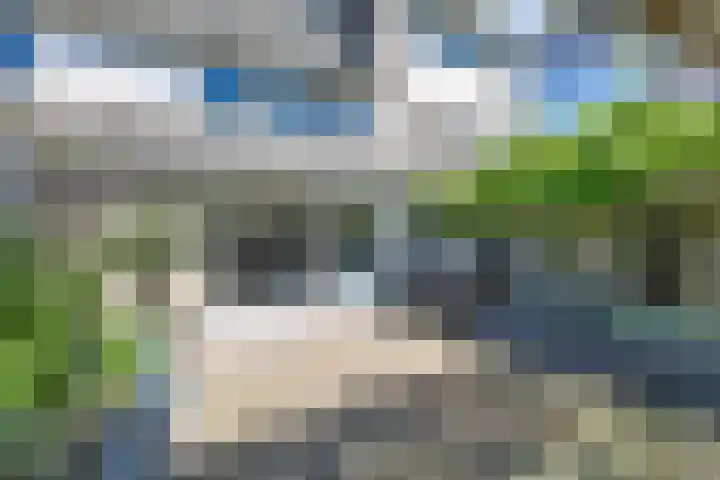 Guldenpad 8 Alkmaar thumbnail 15