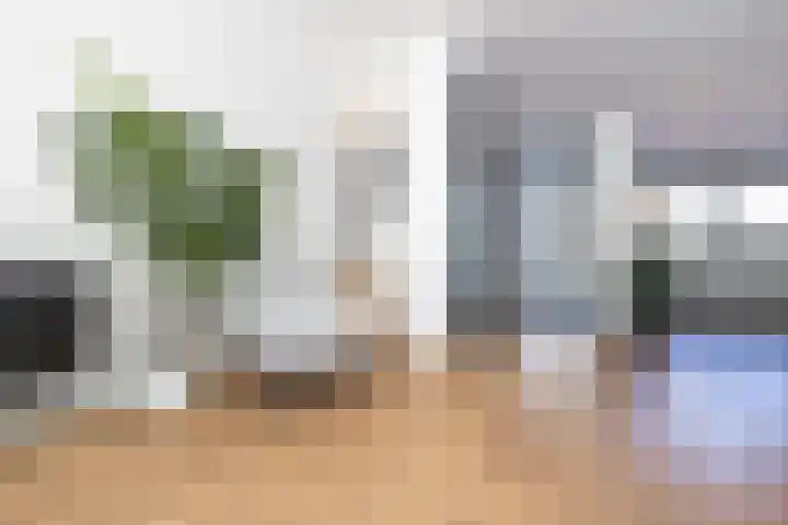 Guldenpad 8 Alkmaar thumbnail 19