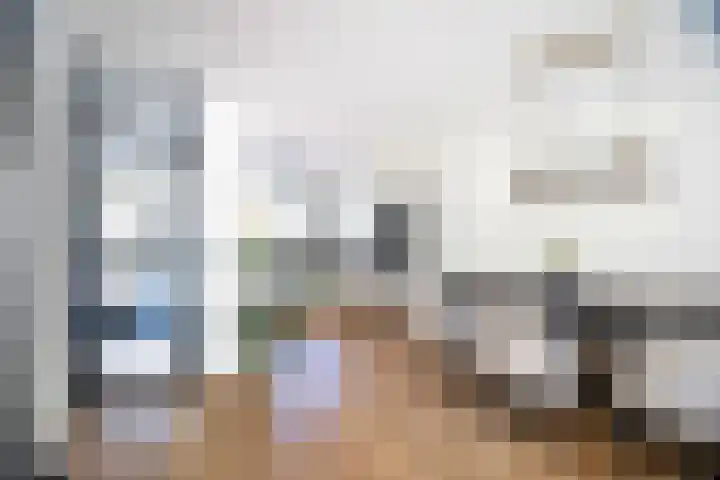 Guldenpad 8 Alkmaar thumbnail 20