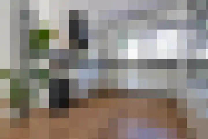 Guldenpad 8 Alkmaar thumbnail 22