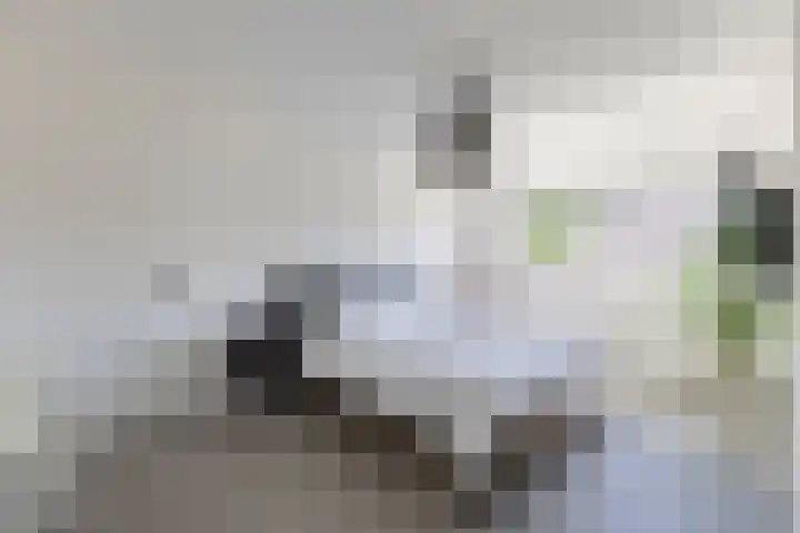 Guldenpad 8 Alkmaar thumbnail 28