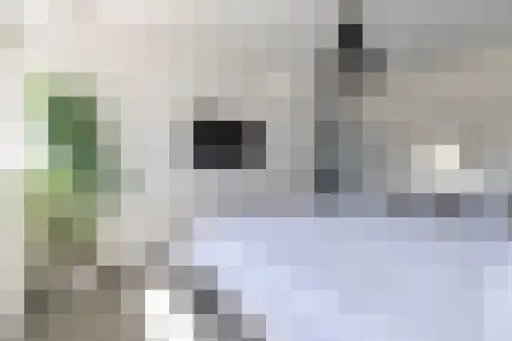 Guldenpad 8 Alkmaar thumbnail 29