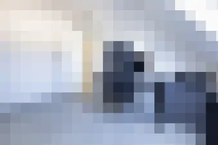 Guldenpad 8 Alkmaar thumbnail 31