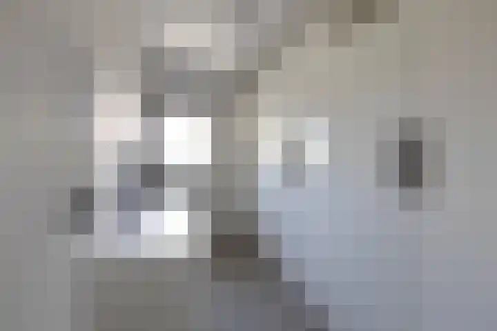 Guldenpad 8 Alkmaar thumbnail 32
