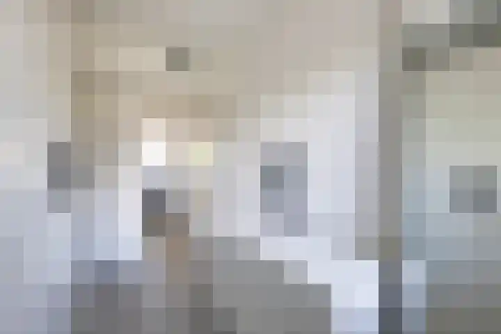 Guldenpad 8 Alkmaar thumbnail 33