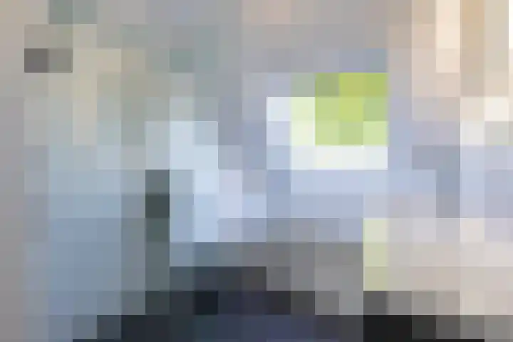 Guldenpad 8 Alkmaar thumbnail 34