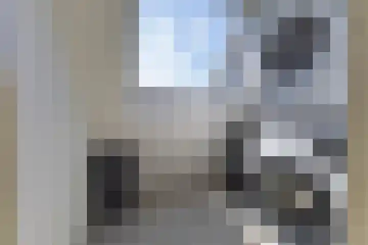 Guldenpad 8 Alkmaar thumbnail 38