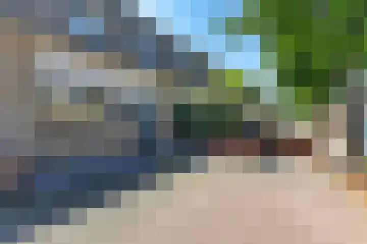 Guldenpad 8 Alkmaar thumbnail 45