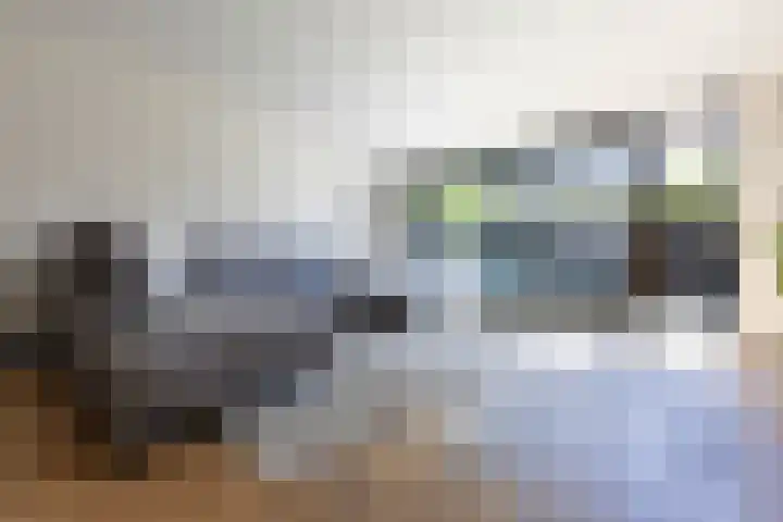 Guldenpad 8 Alkmaar thumbnail 9
