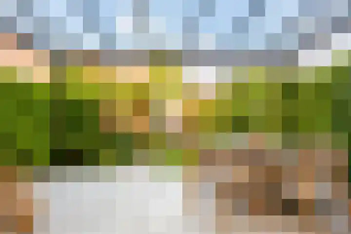 Guldenplantsoen 41 Utrecht thumbnail 10
