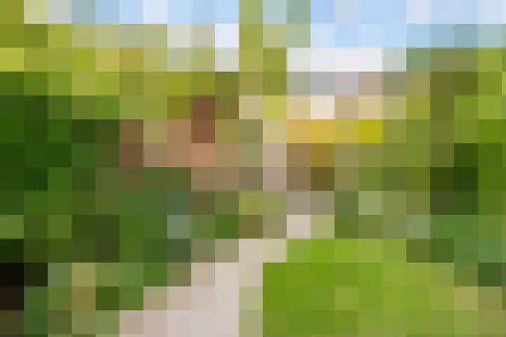 Guldenplantsoen 41 Utrecht thumbnail 11