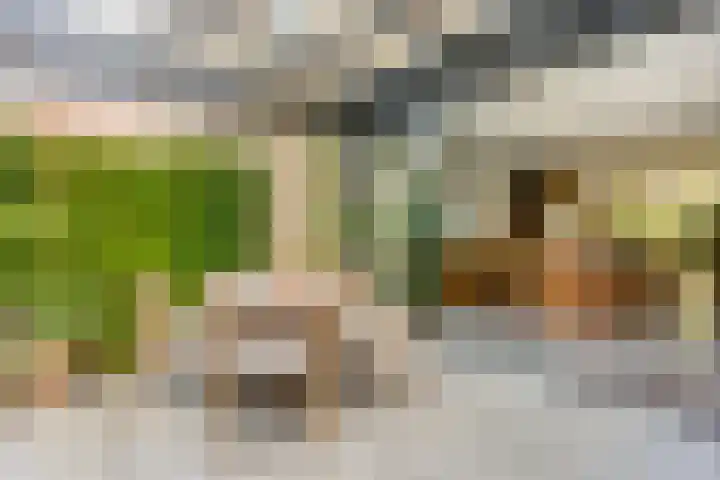 Guldenplantsoen 41 Utrecht thumbnail 14