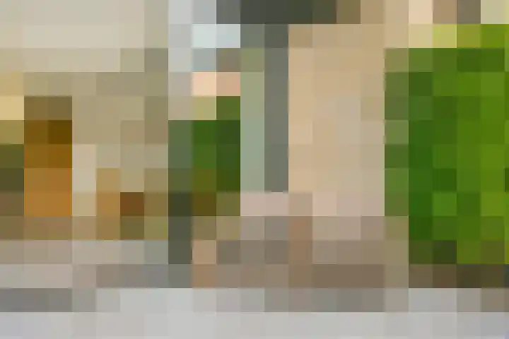 Guldenplantsoen 41 Utrecht thumbnail 15