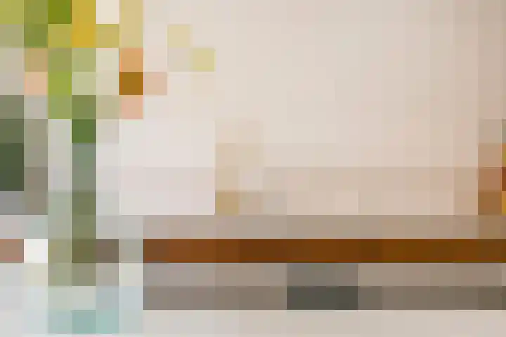 Guldenplantsoen 41 Utrecht thumbnail 16