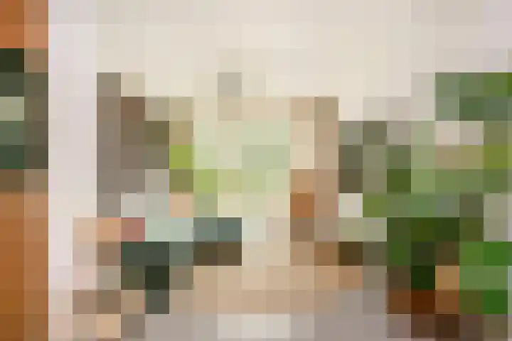 Guldenplantsoen 41 Utrecht thumbnail 20