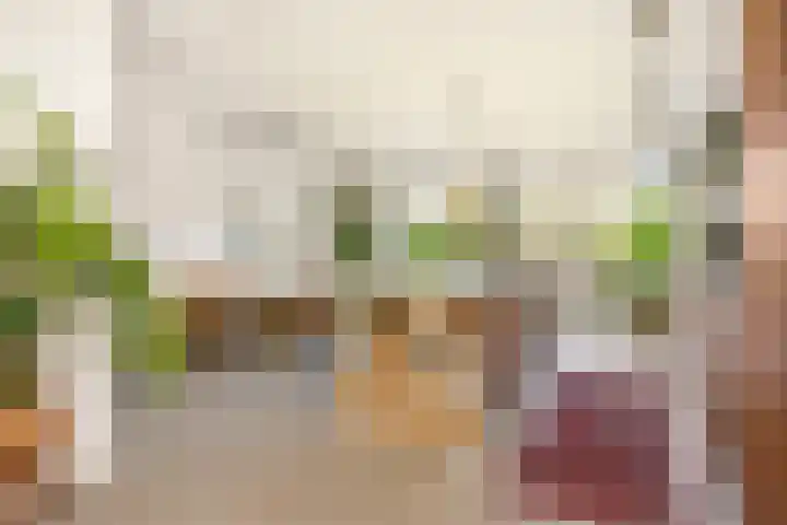 Guldenplantsoen 41 Utrecht thumbnail 22