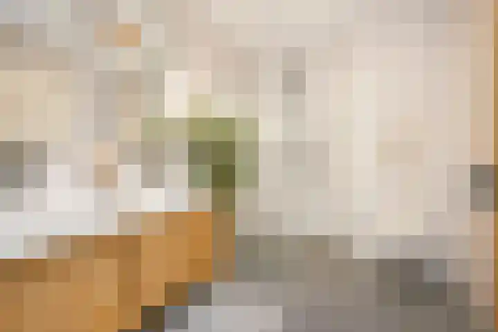 Guldenplantsoen 41 Utrecht thumbnail 32