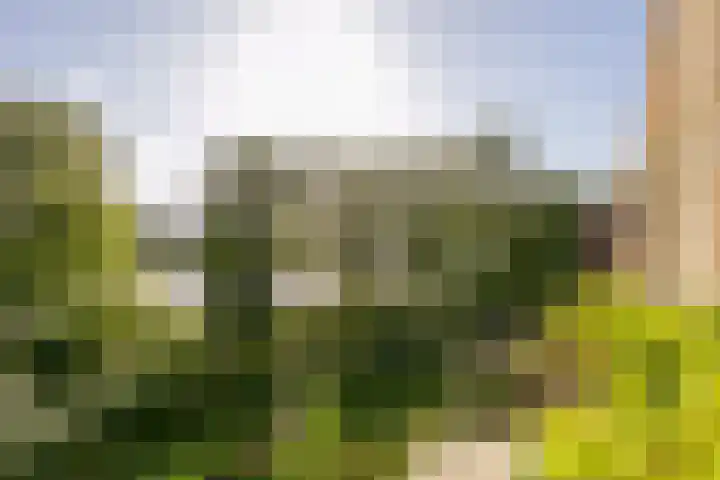 Guldenplantsoen 41 Utrecht thumbnail 38