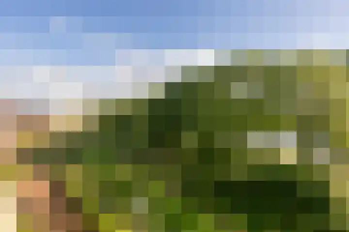 Guldenplantsoen 41 Utrecht thumbnail 39
