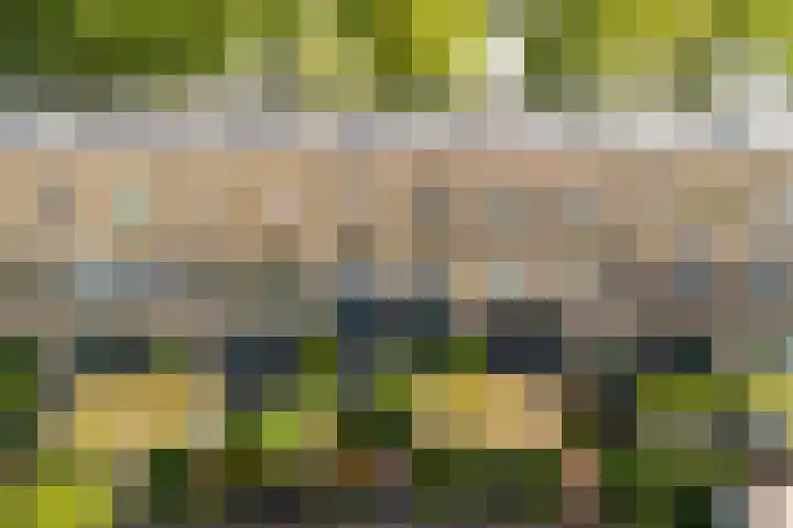 Guldenplantsoen 41 Utrecht thumbnail 42