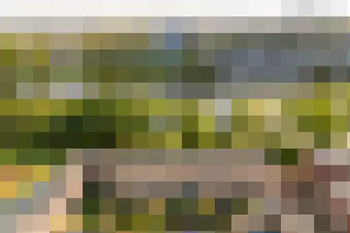 Guldenplantsoen 41 Utrecht thumbnail 44